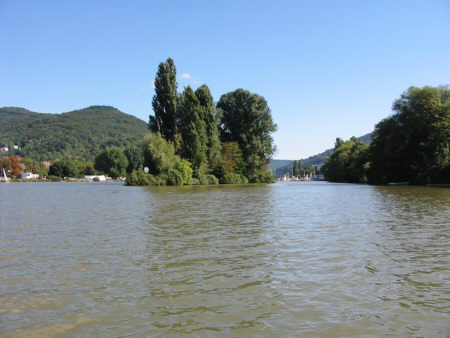 Neckar_12