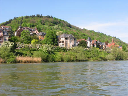 Neckar_15