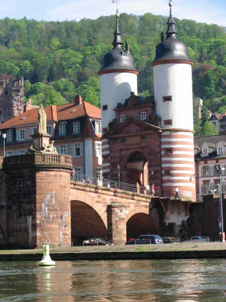 Neckar_20