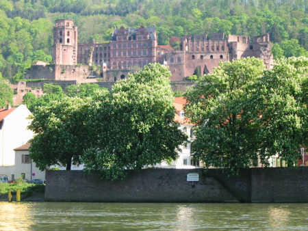 Neckar_22