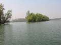 Rhein_18